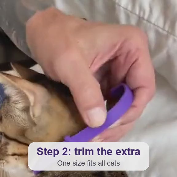 How to put it on, step 2: trim the extra length with scissors